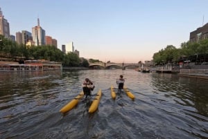 Melbourne: Yarra River Twilight Waterbike Tour