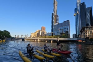 Melbourne: Yarra River Twilight Waterbike Tour