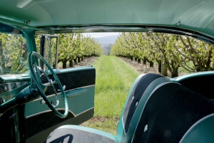 Melbourne: Yarra Valley Food & Wine Tour w Chevrolecie z 1956 roku