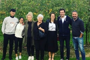 Wycieczka dla smakoszy do doliny Yarra z Chandon i safari z kangurów!