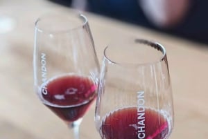 Wycieczka dla smakoszy do doliny Yarra z Chandon i safari z kangurów!