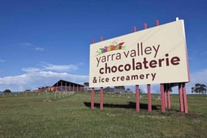 Wycieczka dla smakoszy do doliny Yarra z Chandon i safari z kangurów!