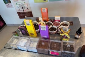 Wycieczka dla smakoszy do doliny Yarra z Chandon i safari z kangurów!