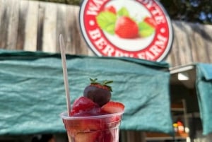 Wycieczka dla smakoszy do doliny Yarra z Chandon i safari z kangurów!