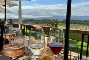 Wycieczka dla smakoszy do doliny Yarra z Chandon i safari z kangurów!