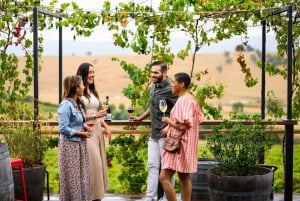 Melbourne: Yarra Valley half-day Cellar Door Winery Tour