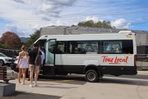 Melbourne: Halvdagstur med vinprovning i Yarra Valley