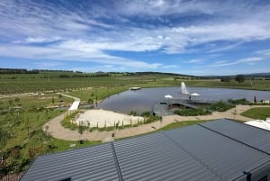 Melbourne: Halvdagstur med vinprovning i Yarra Valley