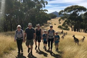 Melbourne: Yarra Valley Hike with Kangaroos & Sunset Picnic