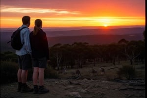Melbourne: Yarra Valley Hike with Kangaroos & Sunset Picnic
