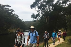 Melbourne: Yarra Valley Hike with Kangaroos & Sunset Picnic