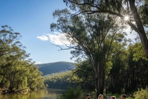 Melbourne: Yarra Valley Hike with Kangaroos & Sunset Picnic