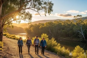 Melbourne: Yarra Valley Hike with Kangaroos & Sunset Picnic