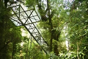 Melbourne: Yarra Valley signaturtur