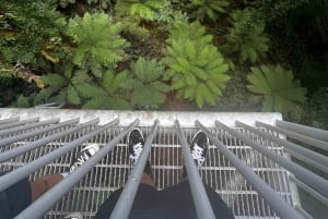 Melbourne: Yarra Valley signaturtur