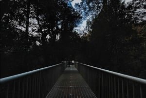 Melbourne: Yarra Valley signaturtur