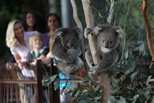 Melbourne: Yarra Valley signaturtur