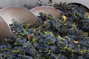 Melbourne: Vin- og chokoladetur i Yarra Valley