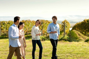 Melbourne: Yarra Valley Wein- und Schokoladentour