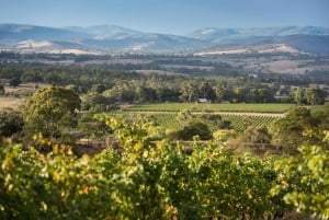 Melbourne: Yarra Valley Wein- und Schokoladentour