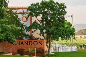 Melbourne: Yarra Valley -viini- ja kirsikanpoimintapäiväkierros