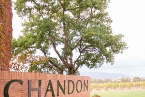 Melbourne: Yarra Valley -viini- ja kirsikanpoimintapäiväkierros