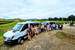 Melbourne: Yarra Valley Wine, Gin, and Chocolate Tour