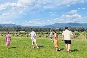 Melbourne: Yarra Valley Wine, Gin, Cheese, & Chocolate Tour