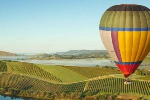 Melbourne: Yarra Valley Wineries Private Day Tour