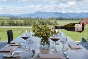 Melbourne: Yarra Valley Wineries Private Car Tour