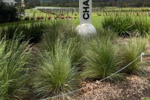 Melbourne: Privat dagsomvisning på vingårder i Yarra Valley