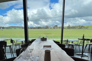 Melbourne: Privat dagsomvisning på vingårder i Yarra Valley