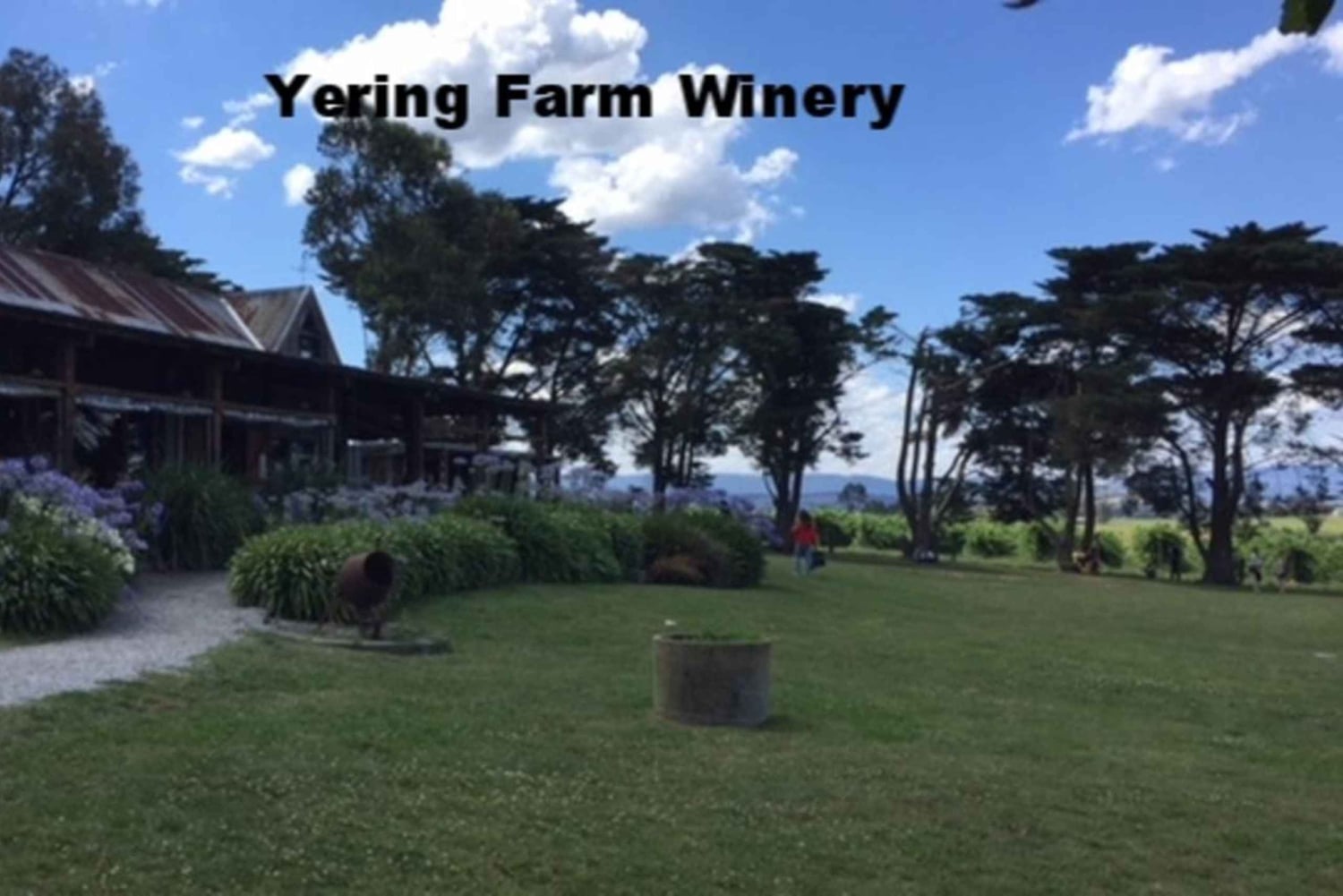 Melbourne: Yarra Valley Winery Private Tour with Lunch