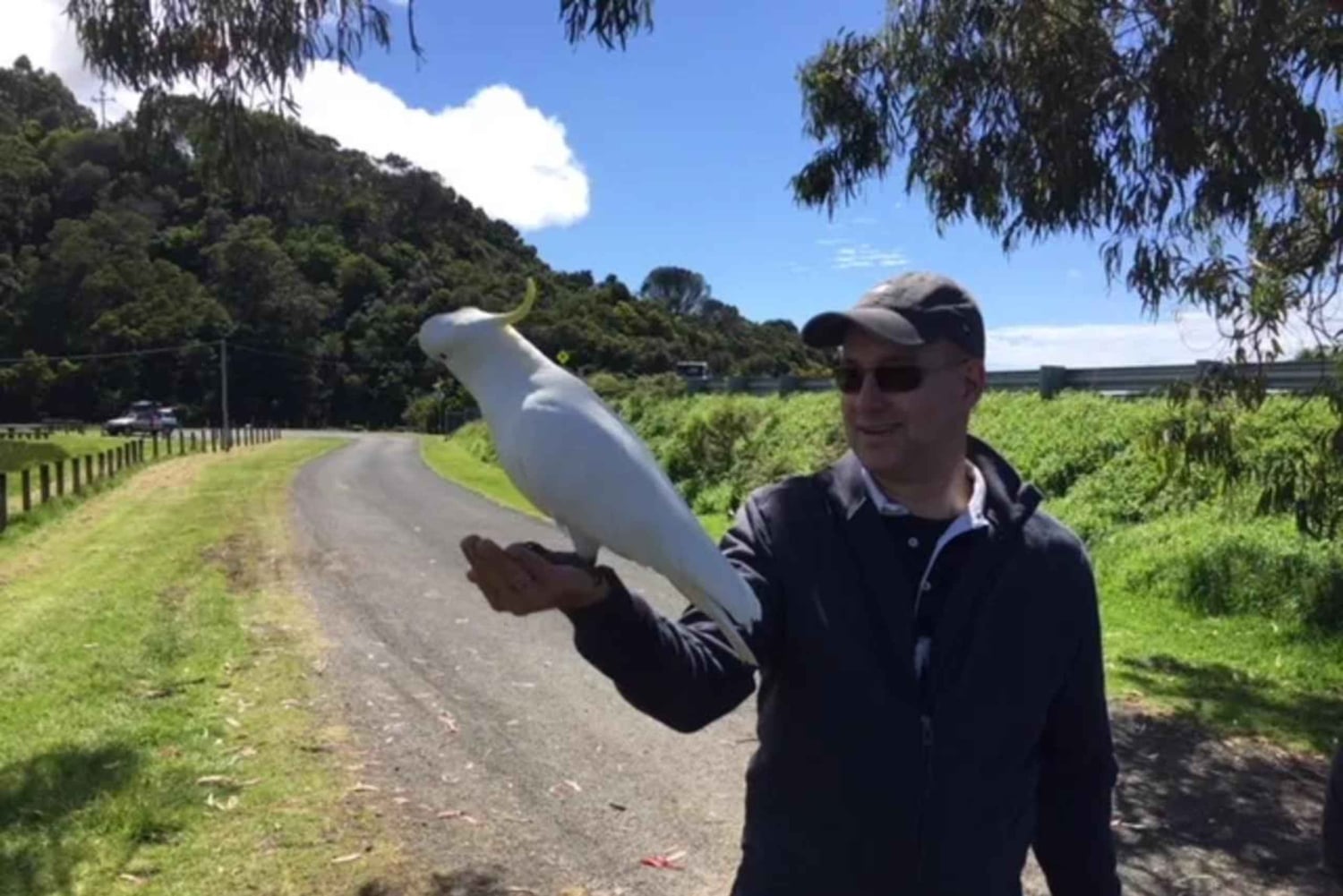 Melbourne: Yarra Valley Winery Private Tour with Lunch
