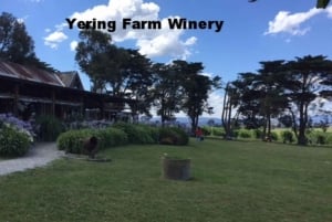 Melbourne: Yarra Valley Winery Private Tour with Lunch