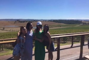 Melbourne: Yarra Valley Winery Private Tour with Lunch