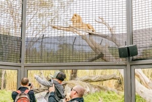 Melbourne Zoo 1-Day General Admission Ticket