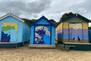 Melbourne: Moonlit Sanctuary and Brighton Beach Boxes Tour