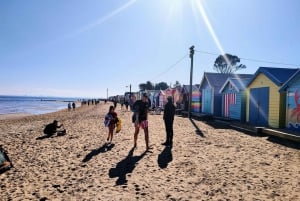 Melbourne: Moonlit Sanctuary and Brighton Beach Boxes Tour