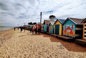 Melbourne: Moonlit Sanctuary and Brighton Beach Boxes Tour