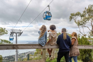 Escapada de lujo de un día a la península de Mornington