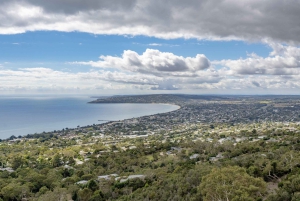 Escapada de lujo de un día a la península de Mornington