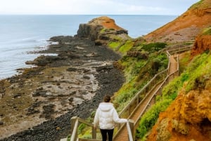 Visite privée de la péninsule de Mornington