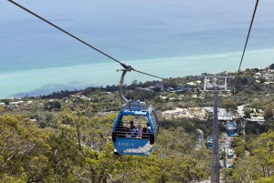 Mornington Peninsula Scenic Bus Tour with Chairlift & Lunch