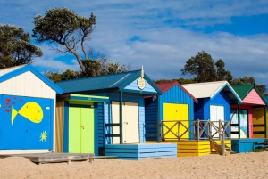 Mornington Peninsula Scenic Bus Tour with Chairlift & Lunch
