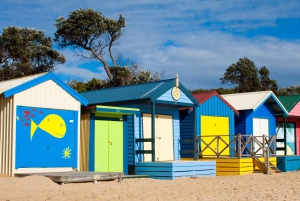 Busstur med stolheis og lunsj på Mornington Peninsula