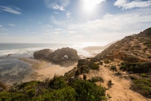 Mornington Peninsula: Sightseeing Tour with Bay Sailing