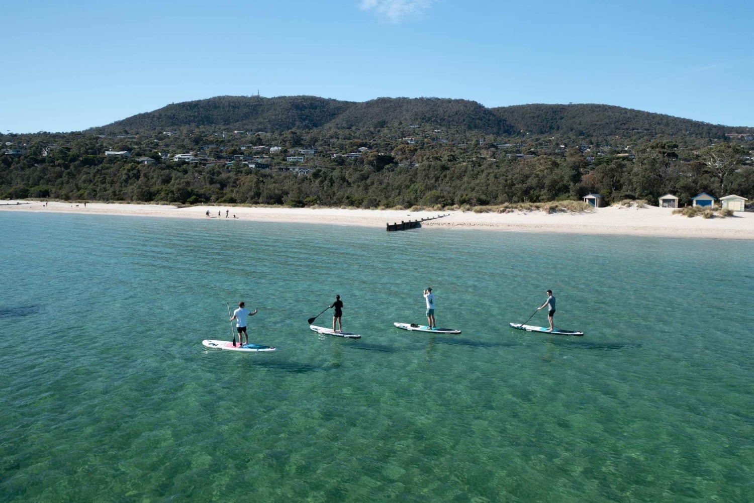 Penisola di Mornington: SUP, escursione e viaggio alle sorgenti termali con pranzo
