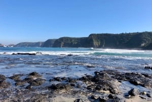 Penisola di Mornington: SUP, escursione e viaggio alle sorgenti termali con pranzo