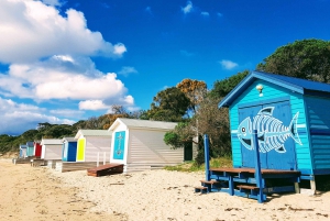 Mornington Peninsula Tour Full-Day from Melbourne